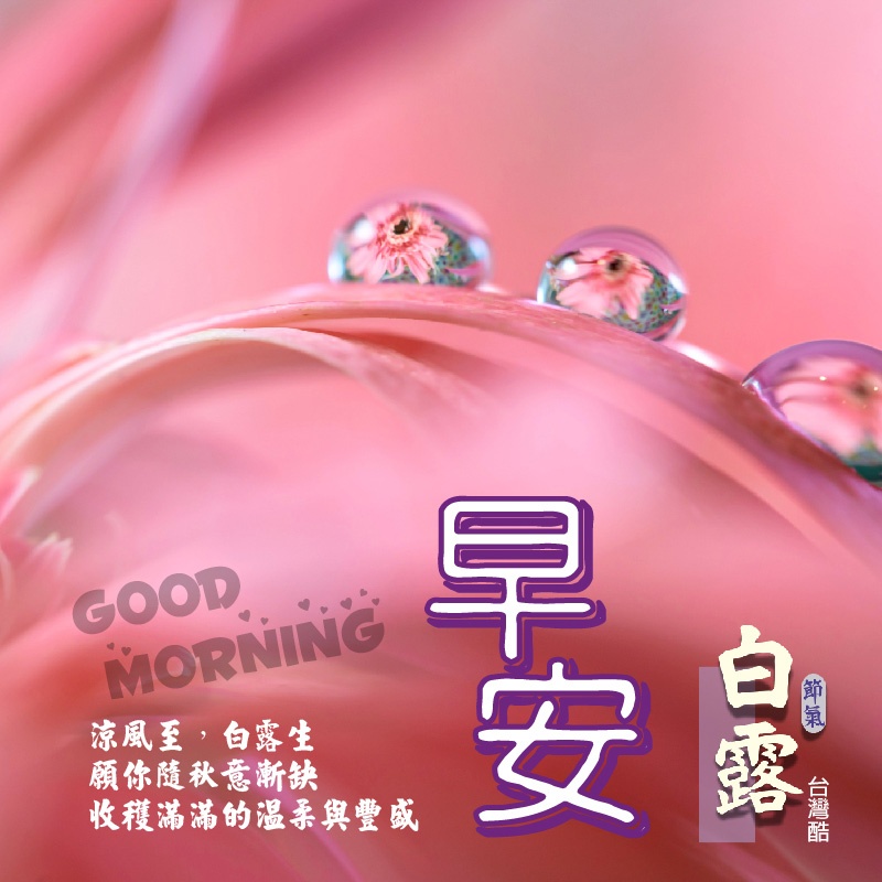 白露-1
