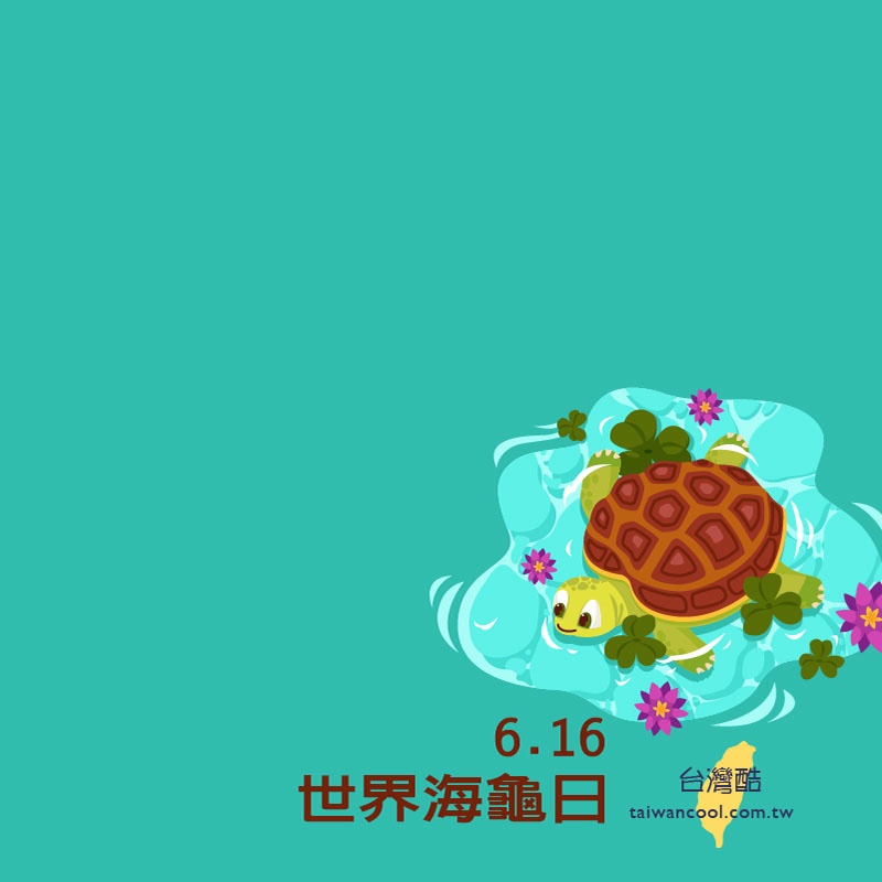 海龜日-5