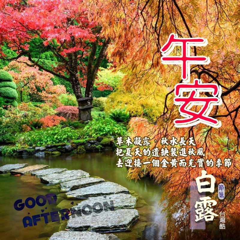白露-2
