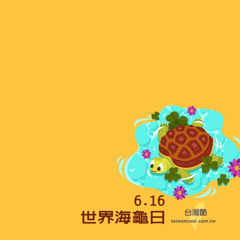 海龜日-6