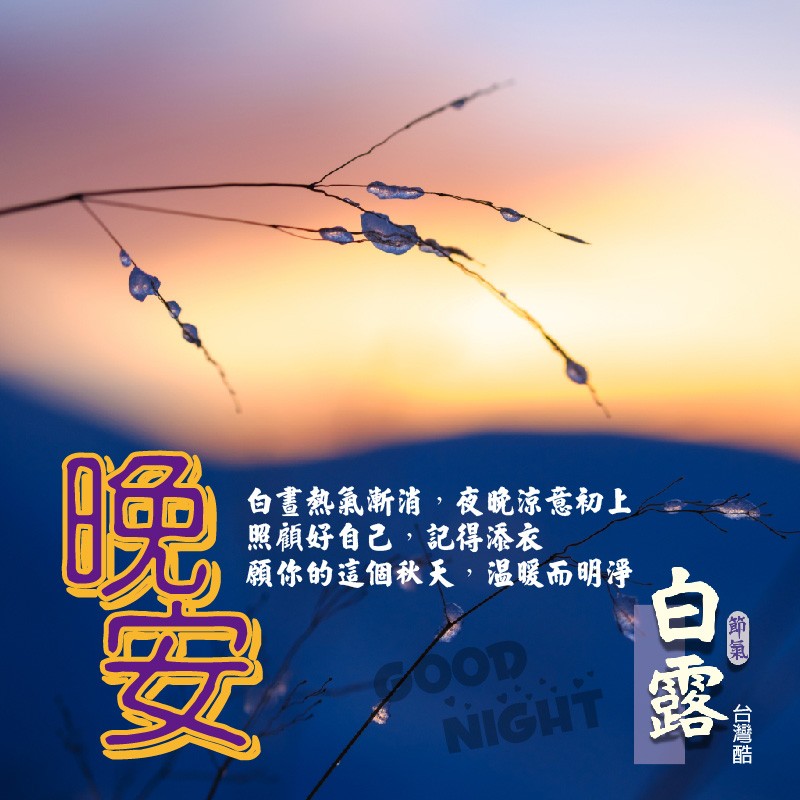 白露-3