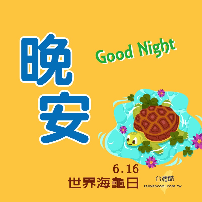 海龜日-3