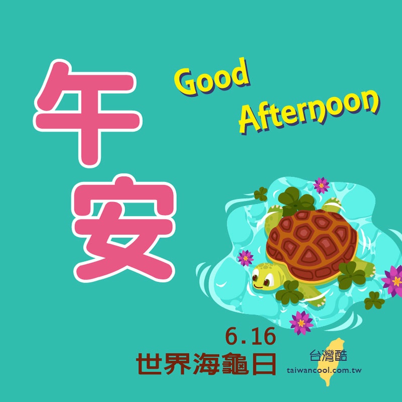 海龜日-2