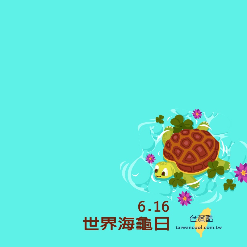 海龜日-4