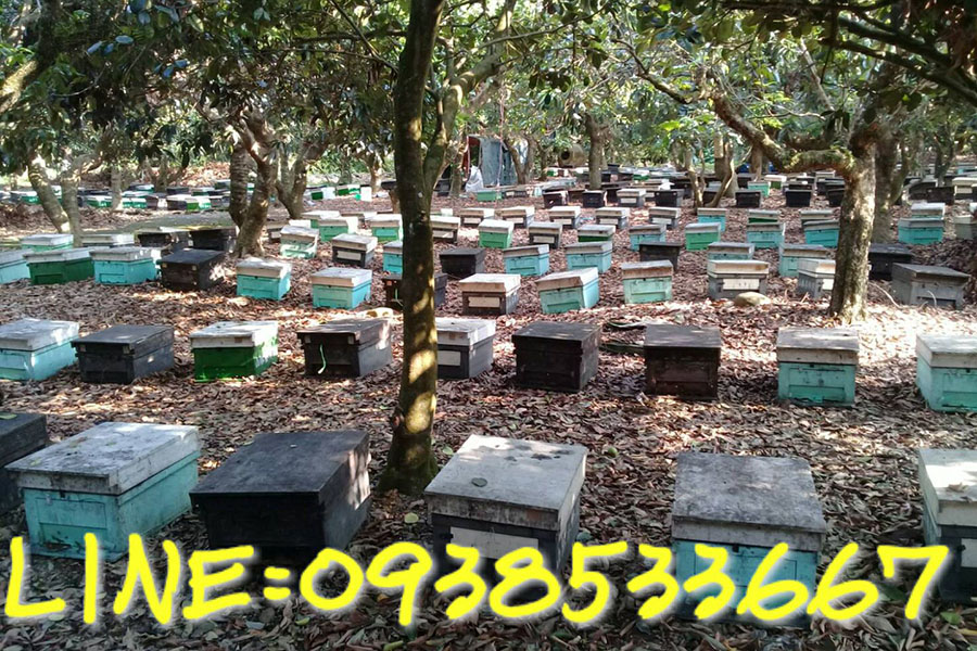 山林養蜂園—高雄蜂蜜推薦